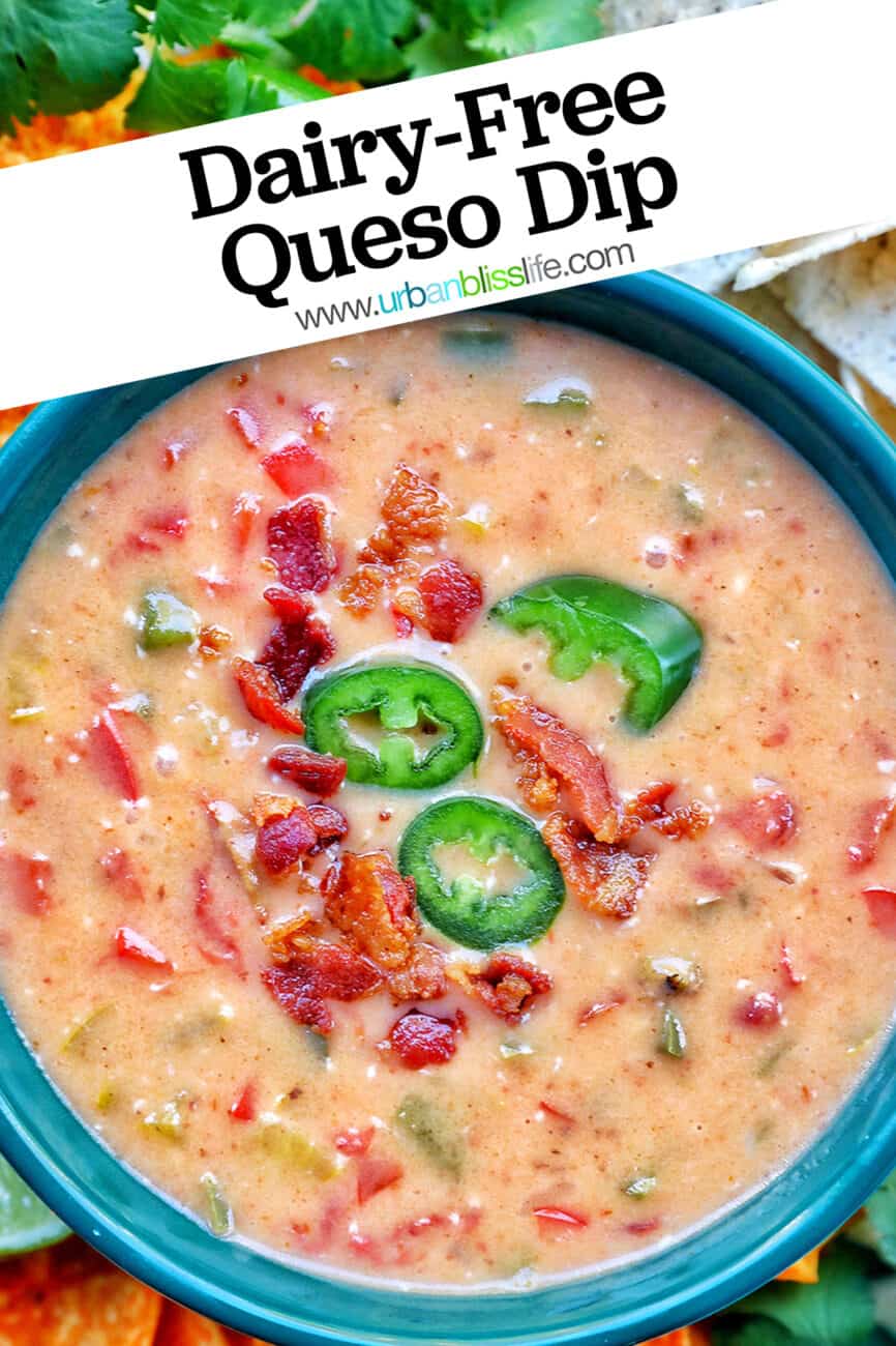 Dairy-Free Queso Dip with title overlay