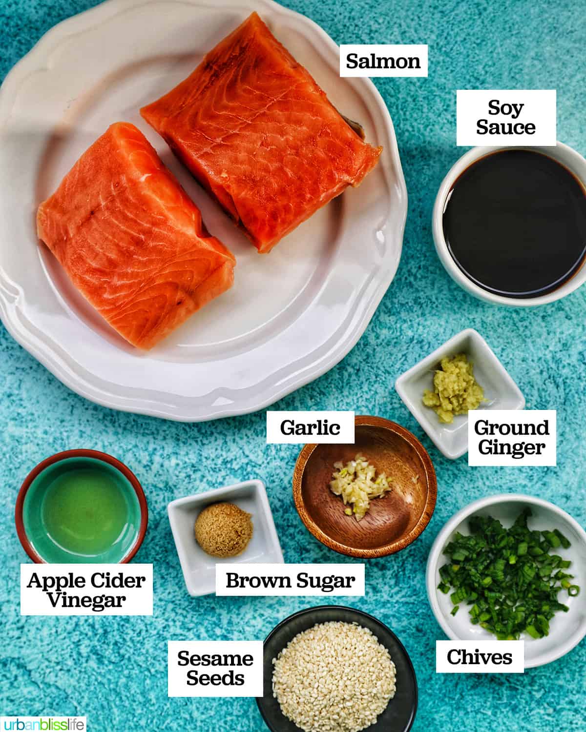 ingredients to make air fryer teriyaki salmon