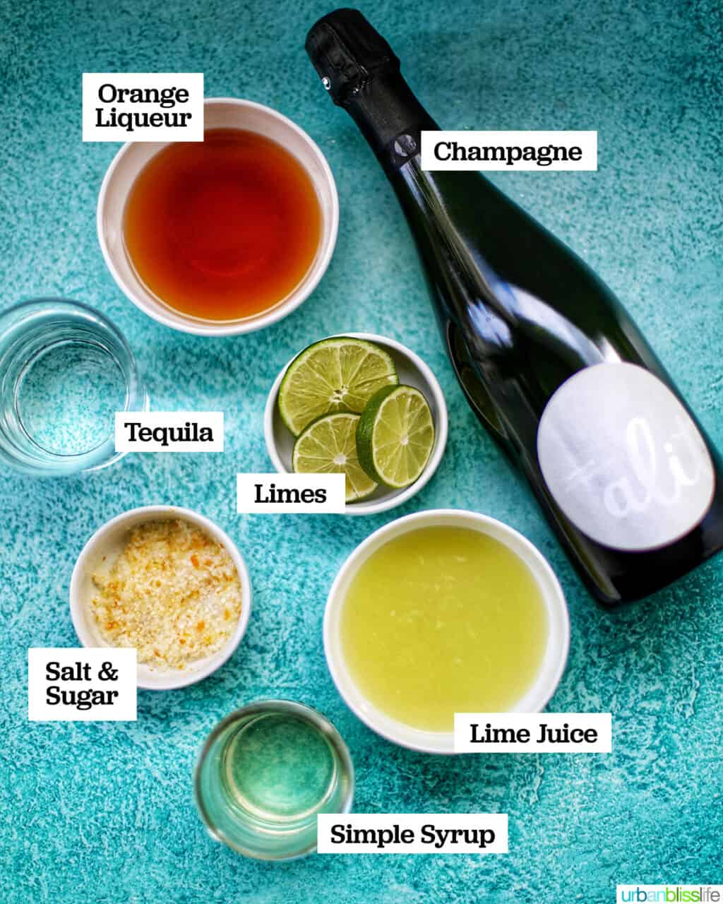 ingredients to make champagne margaritas