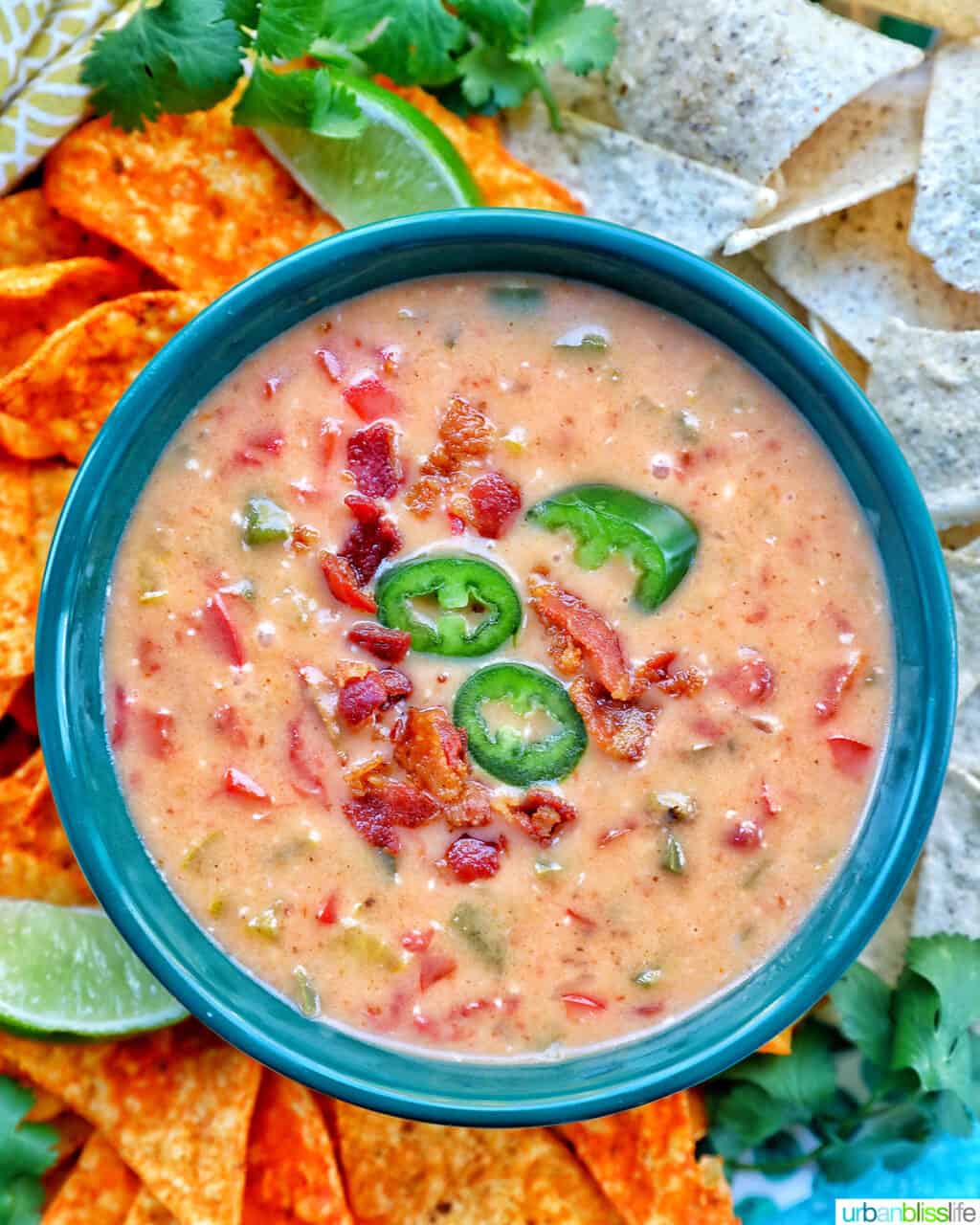 bowl of dairy free queso dip with nacho chips