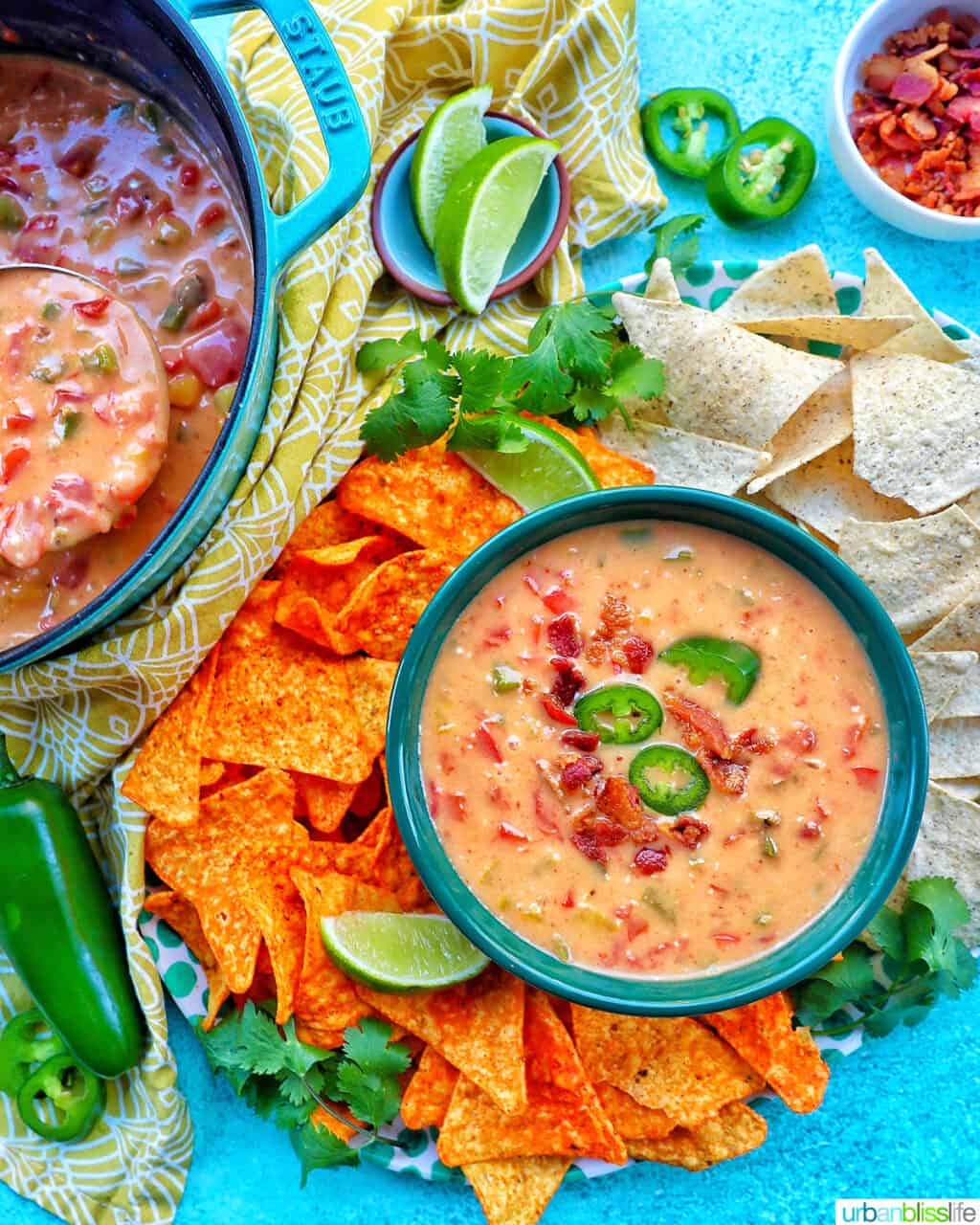 bowl of dairy free queso dip with chips