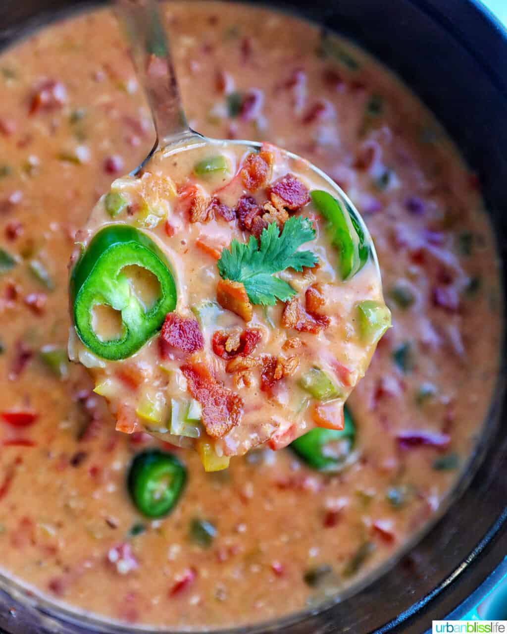 ladle of dairy free queso dip