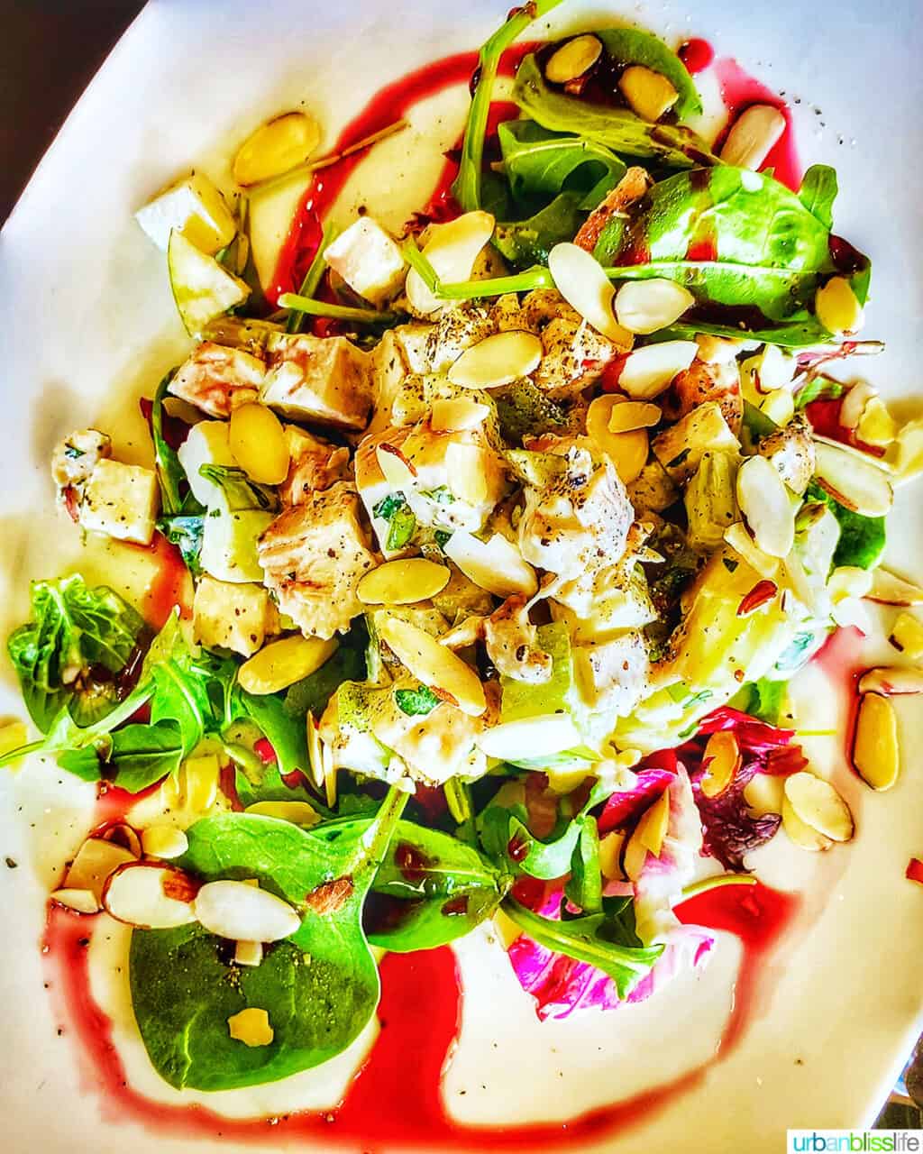 Chicken salad at Newbergundian Bistro in Newberg, Oregon