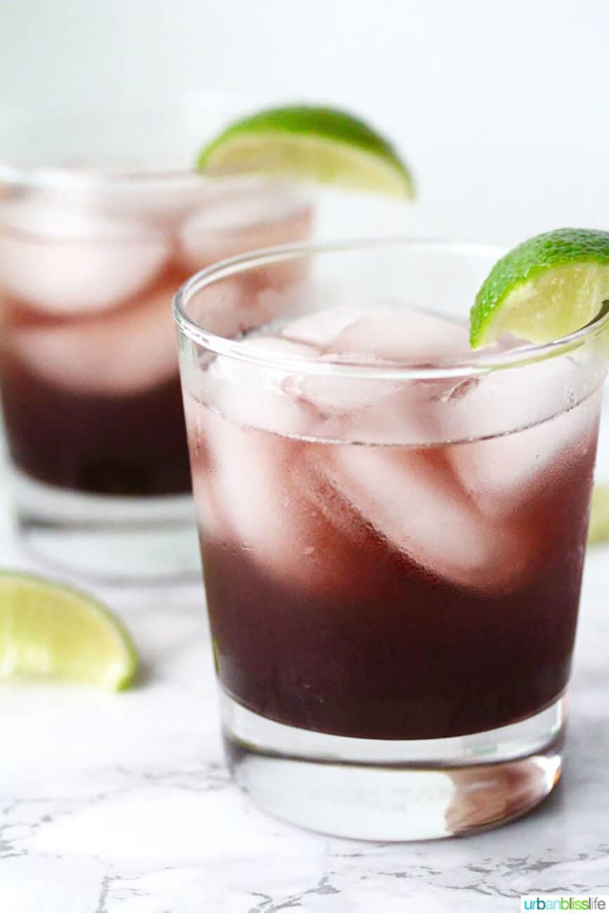 fruity cocktail recipes - hibiscus cocktail cooler