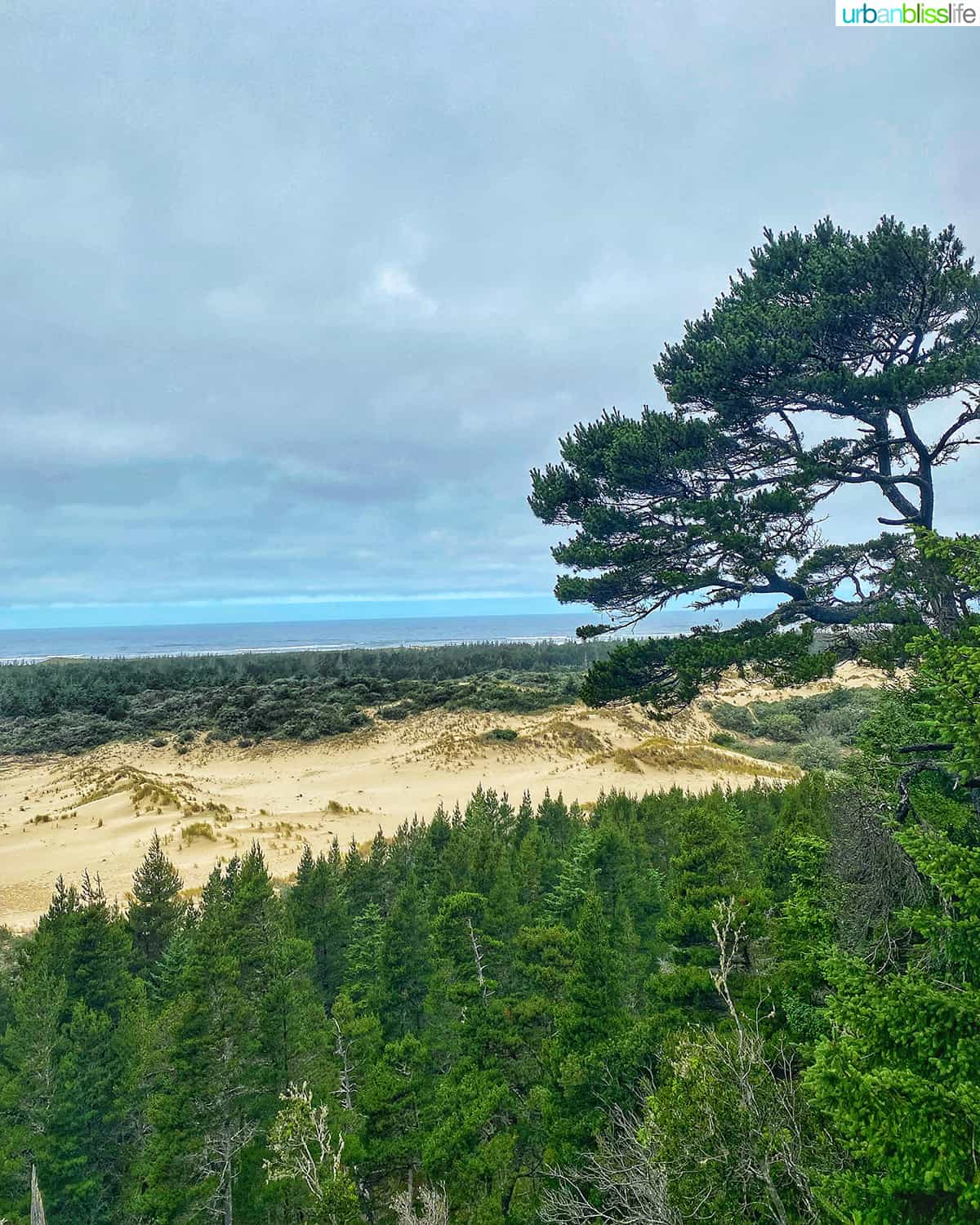 oregon dunes near bandon