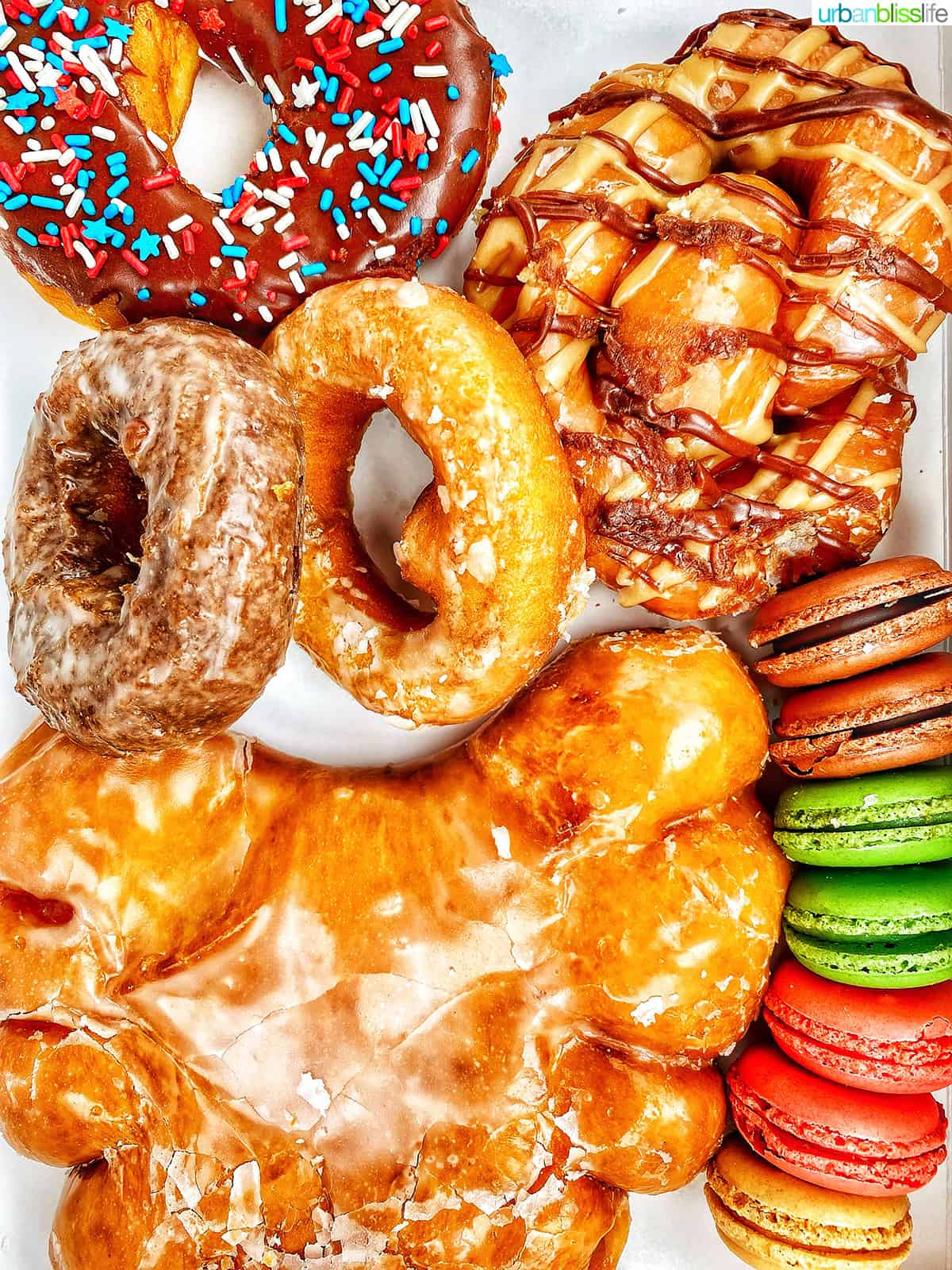 donut display at sugar shack in reedsport, oregon