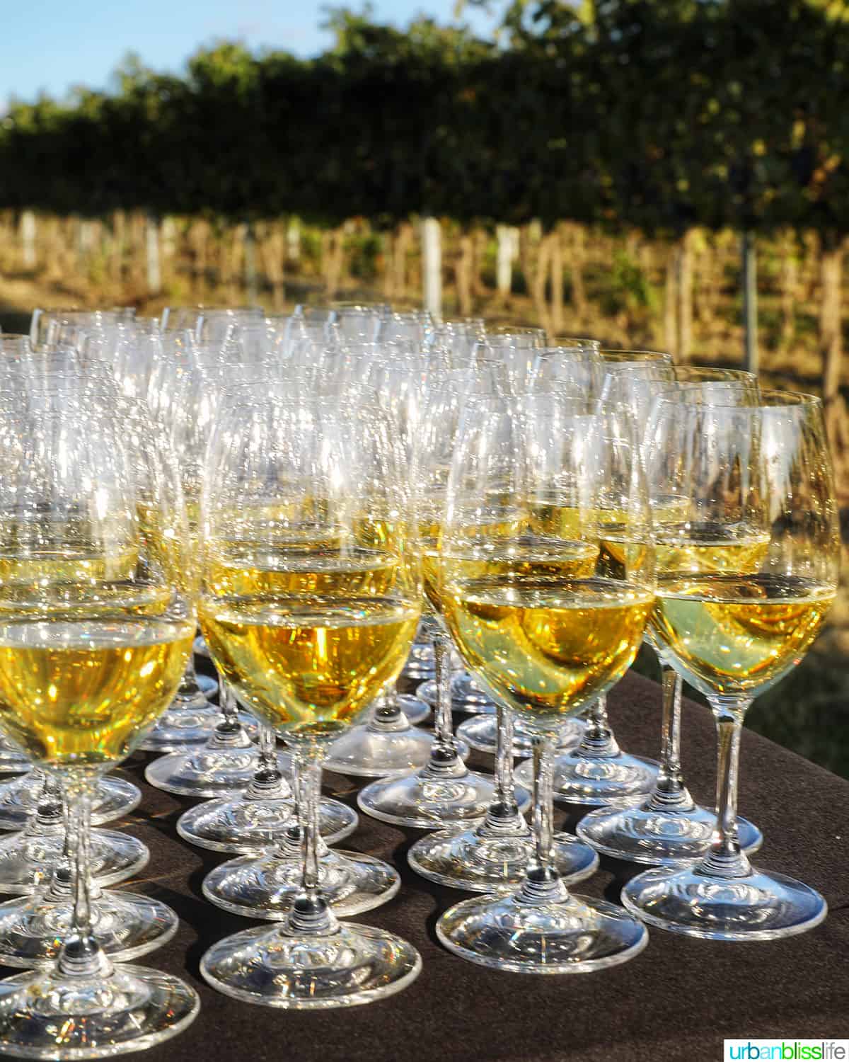 Vital wines Chardonnay