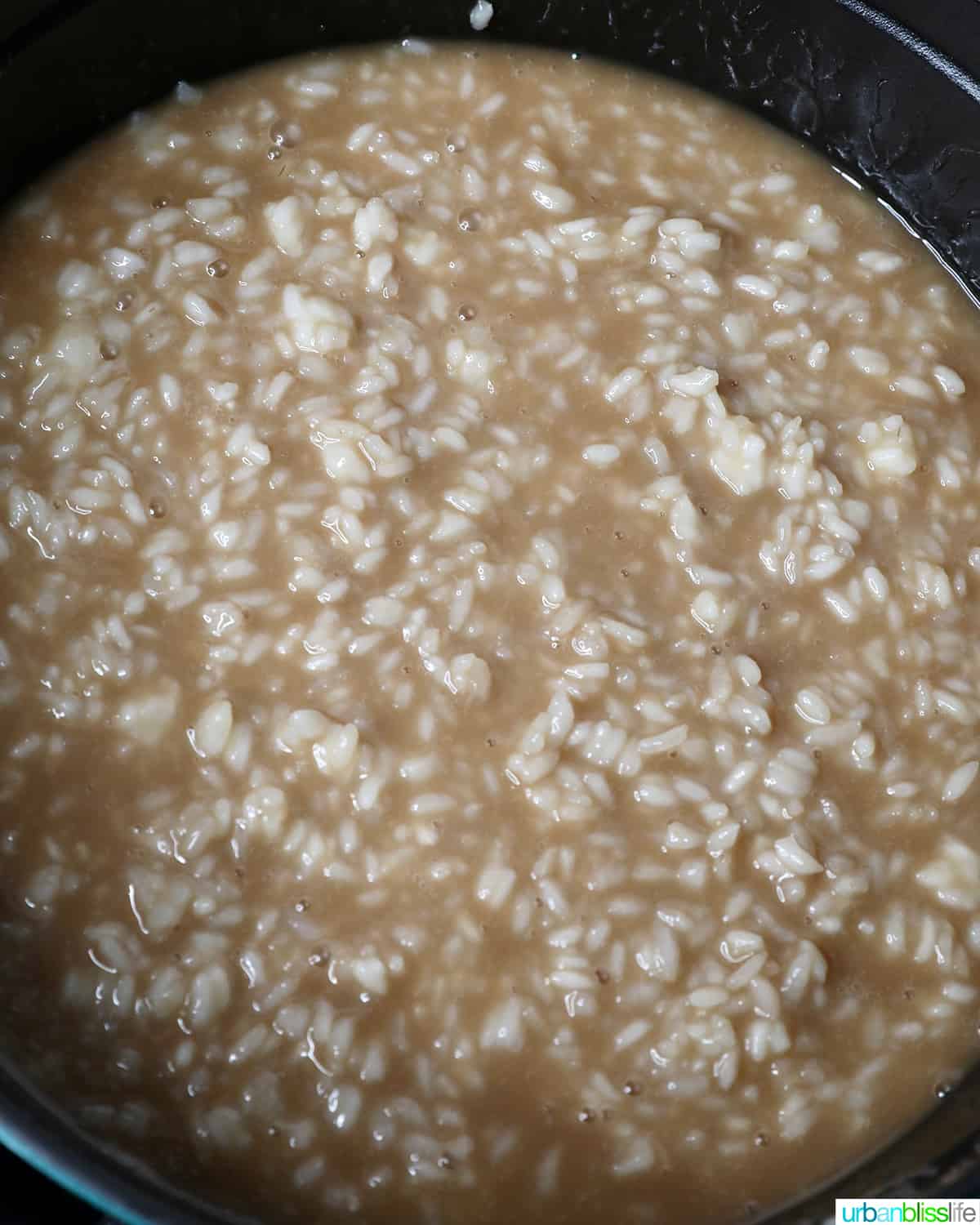 rice in coconut and brown biko mix