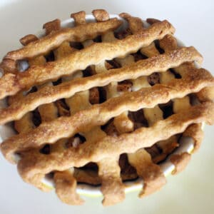 mini apple pie with laced top.
