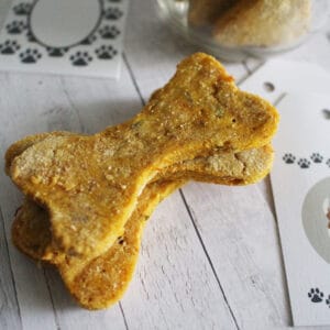 Peanut Butter Pumpkin Grain-Free Dog Treats.