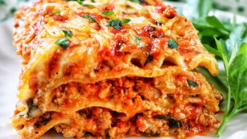 Dairy Free Lasagna