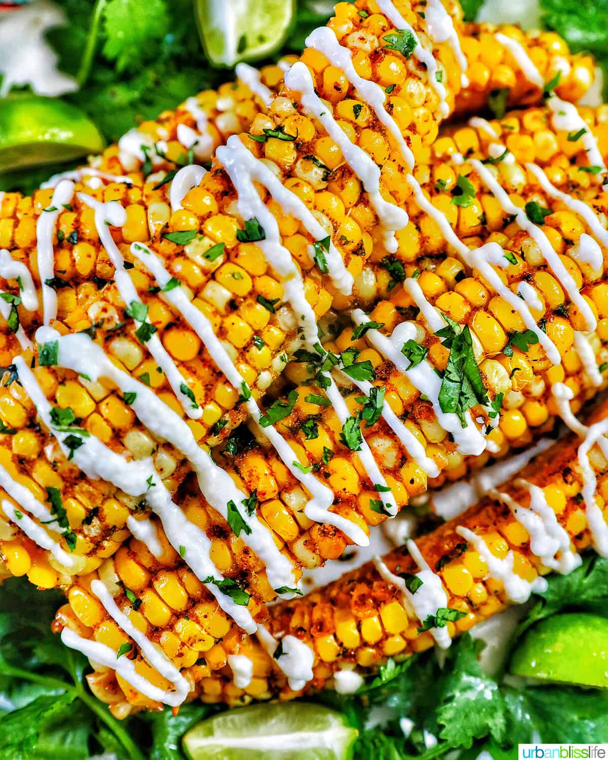 several air fryer corn ribs stacked on top of a bed of greens with drizzled mayo and chopped cilantro.