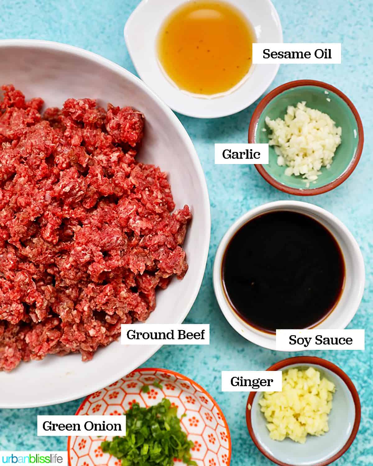 Ingredients for asian burgers - ground beef, soy sauce, sesame oil, garlic, ginger, green onions.