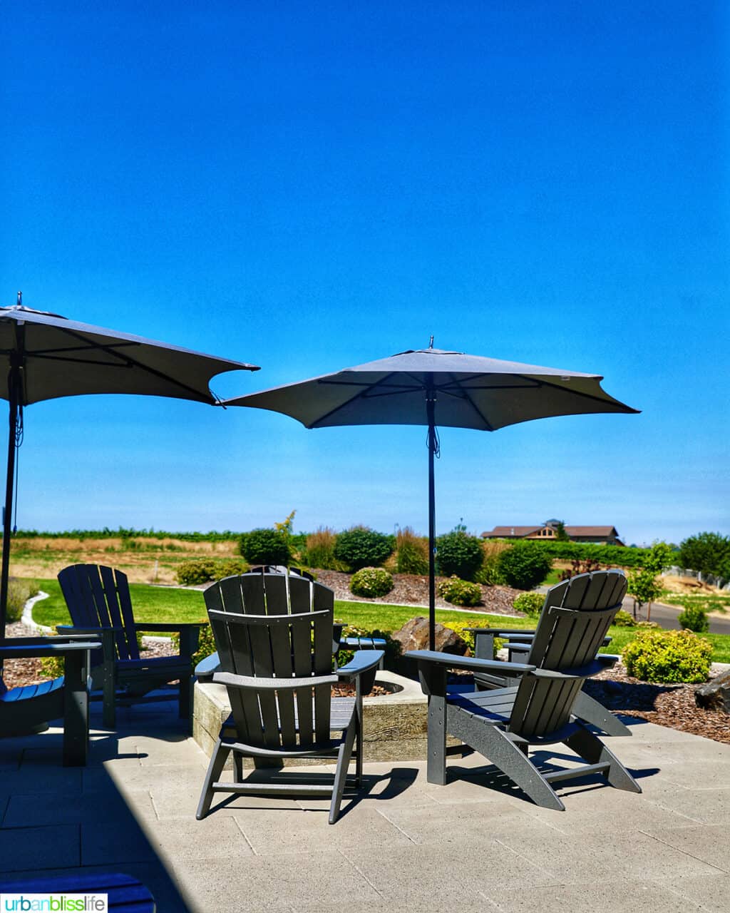 wine tasting seating outside of Caprio Cellars around a fire pit.