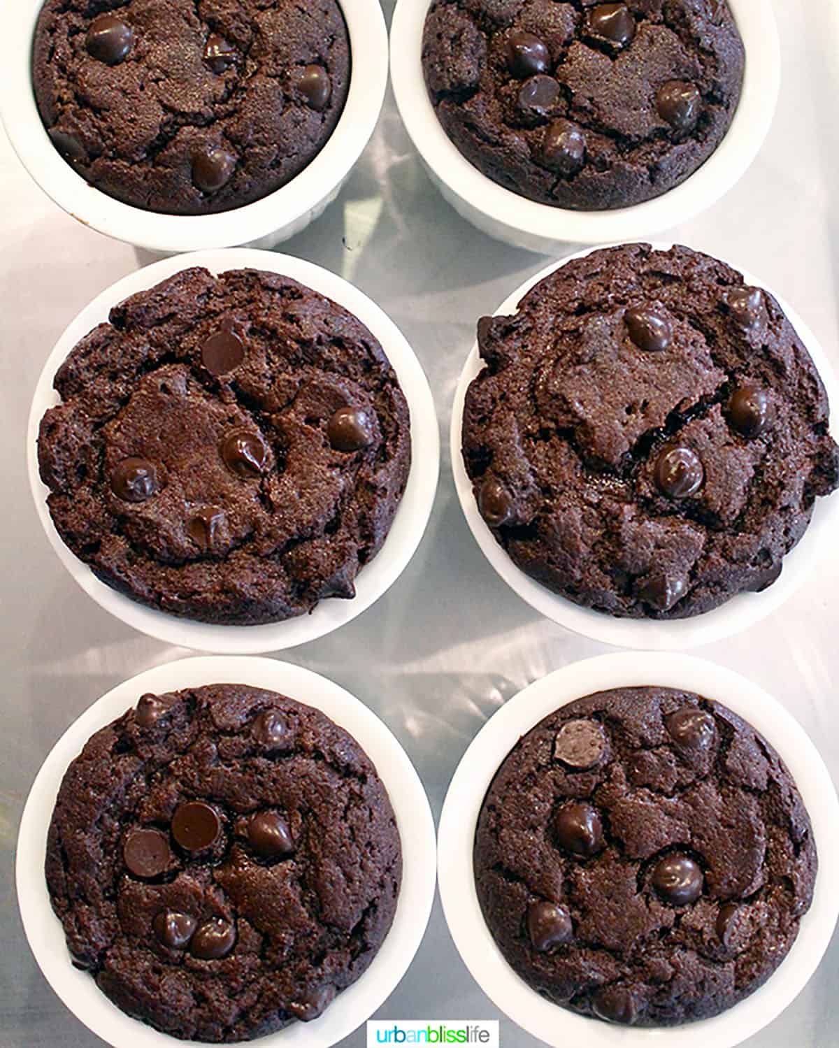 set of six Chocolate chip espresso gluten free mug cakes