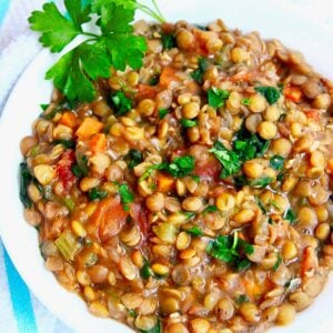 instant pot lentil soup in a bowl.