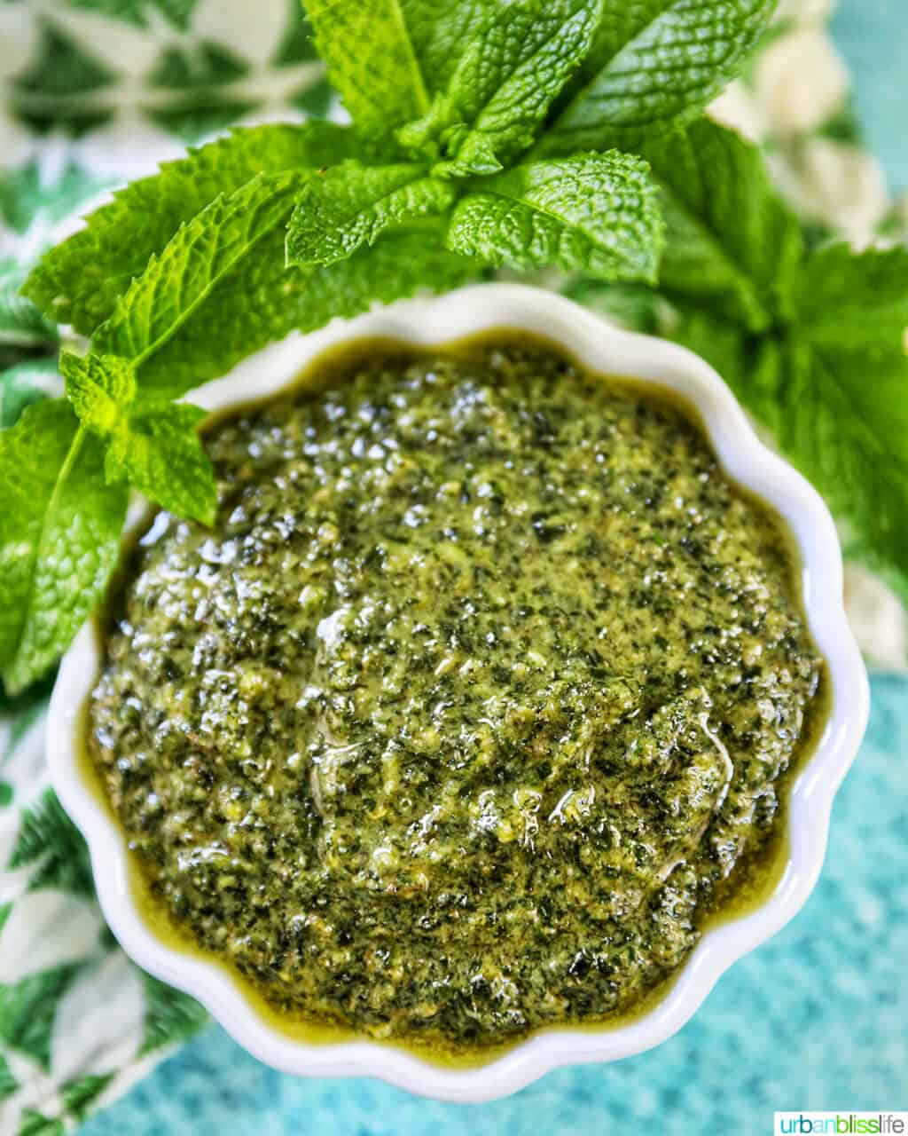 white scalloped bowl filled with mint pesto with mint leaves around the top of the bowl on a bright blue background.