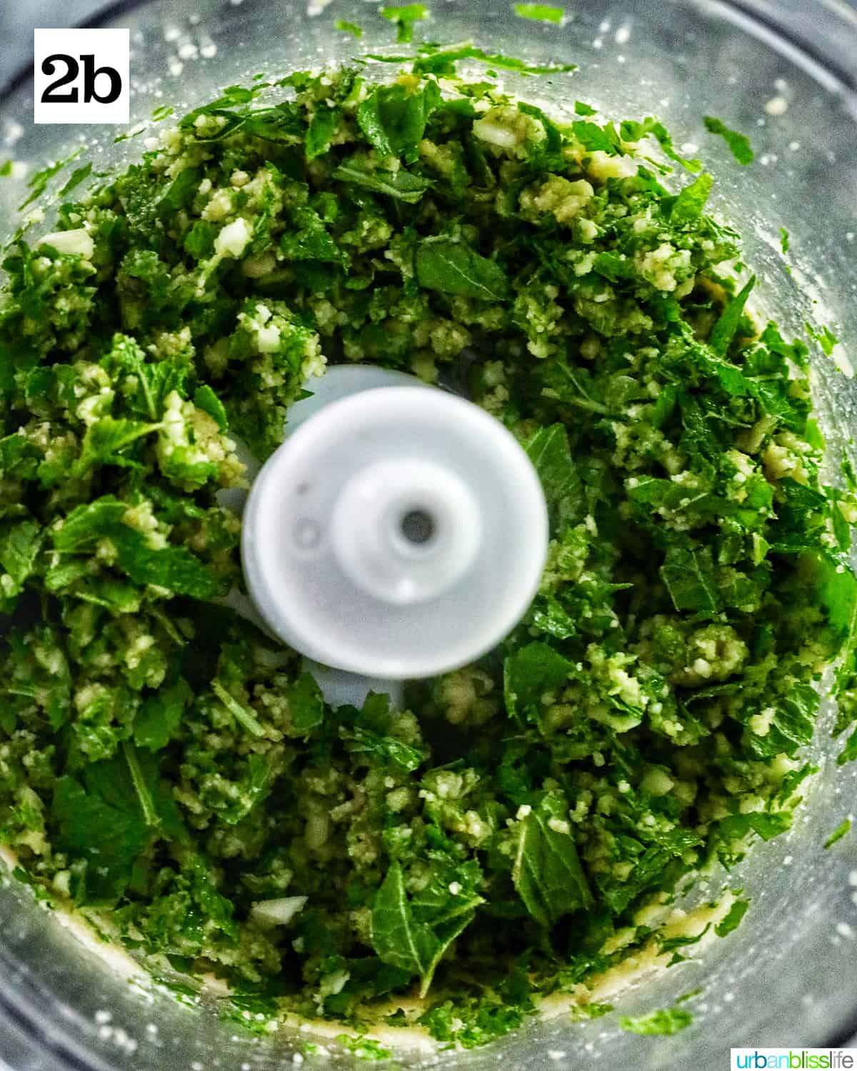 food processor with mostly processed mint pesto ingredients: mint, basil, garlic, parmesan, pine nuts.