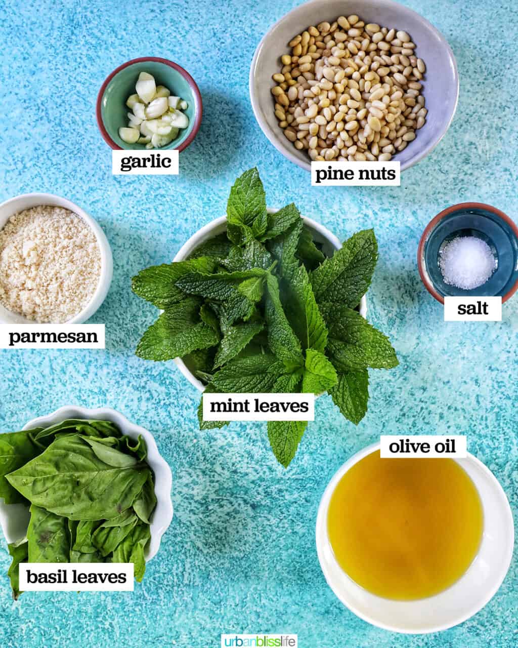 bowls filled with ingredients to make mint pesto: mint, basil, olive oil, parmesan, pine nuts, garlic.