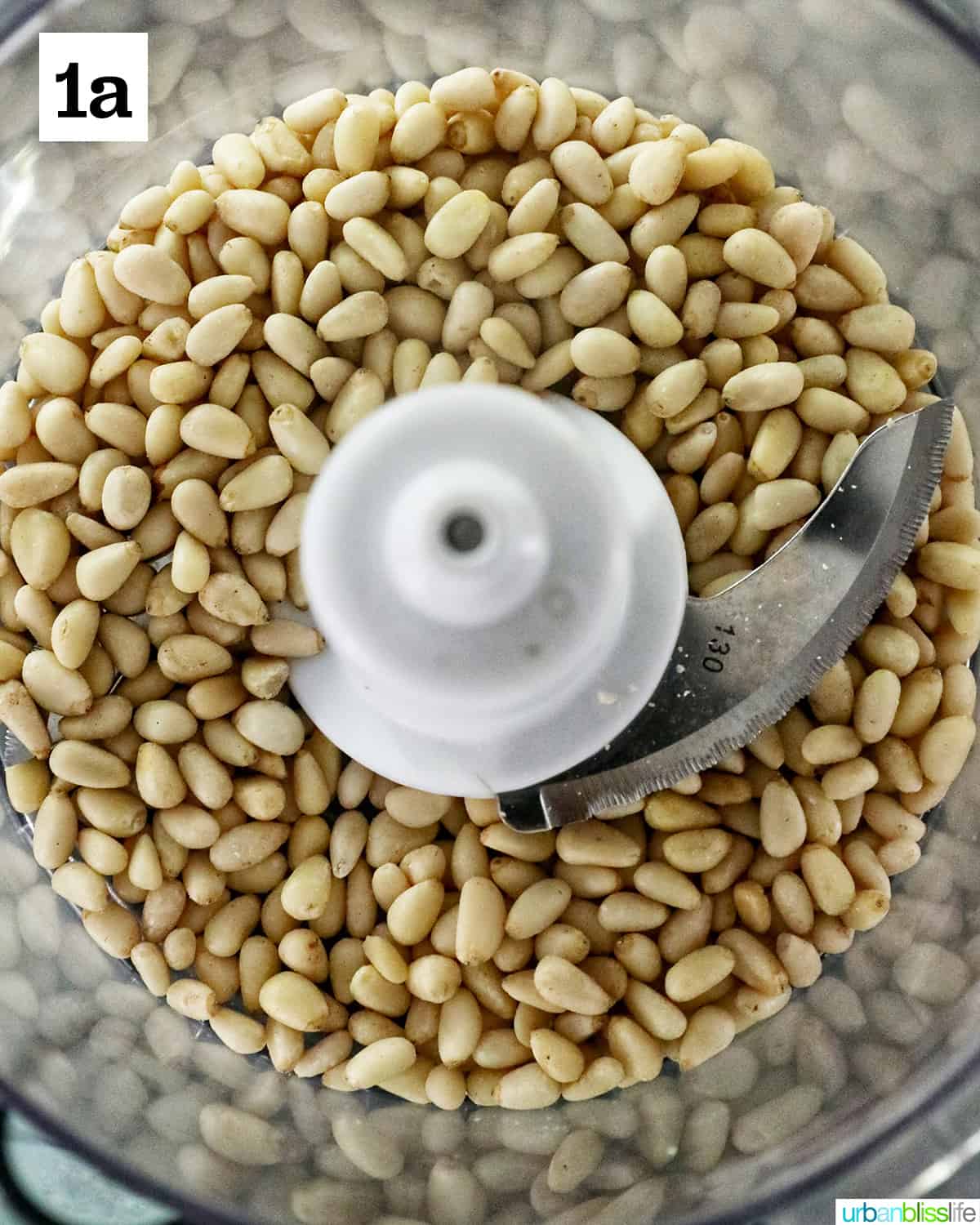 whole pine nuts in a food processor.