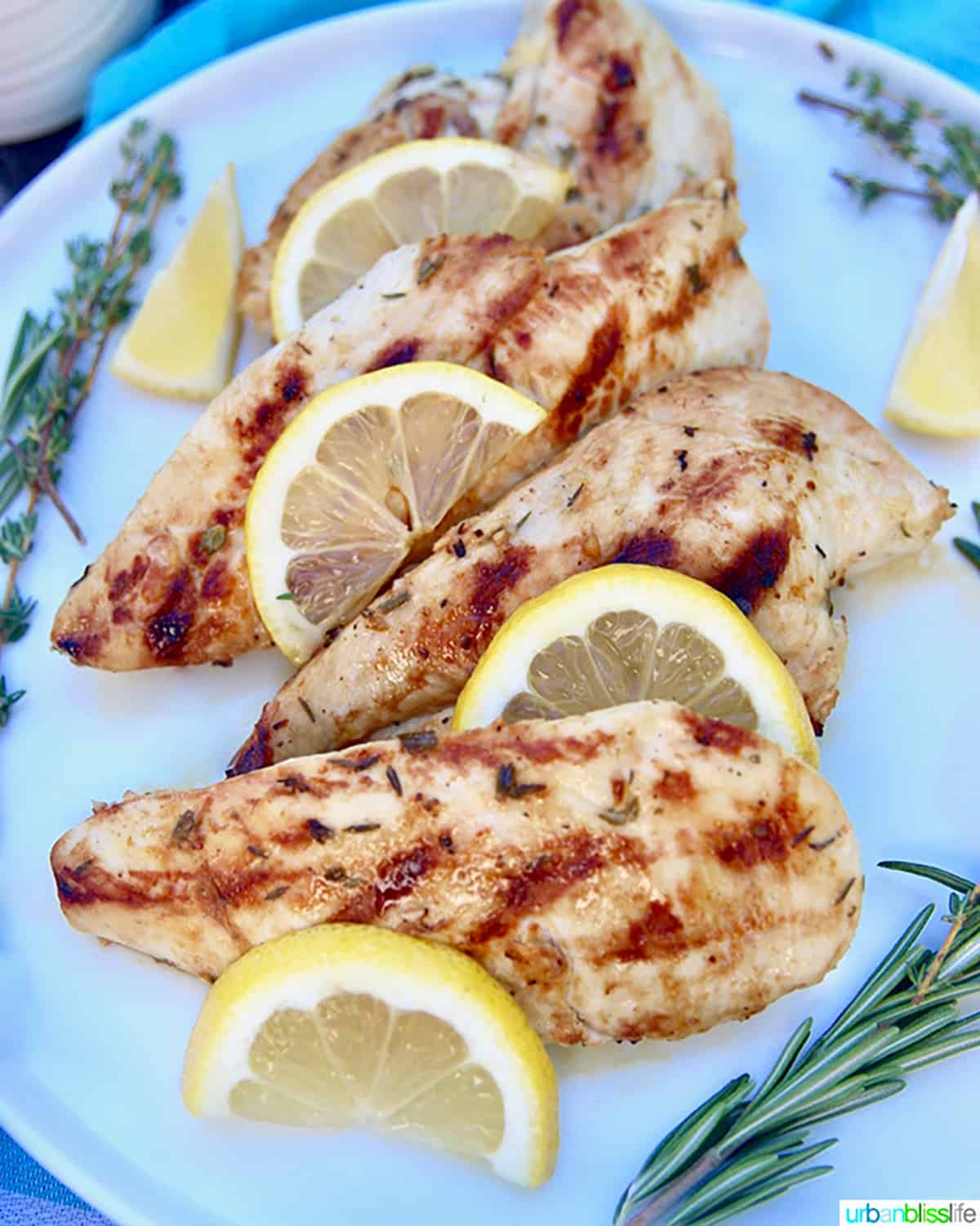grilled lemon pepper chicken with lemon slices and herbs.