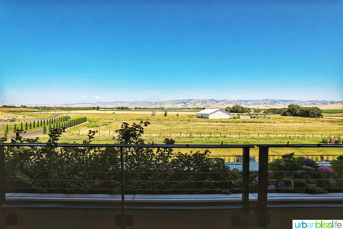 view of Walla Walla's Blue Mountains from the Valdemar Estates outdoor terrace.