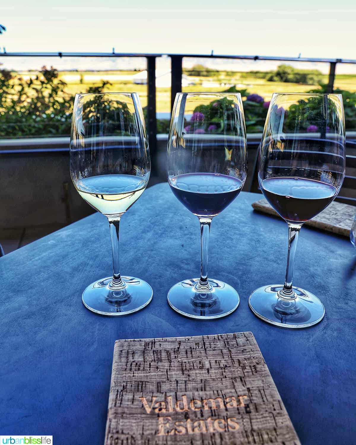 three wine glasses with a tasting menu on a table with view of Walla Walla Blue Mountains in the background.