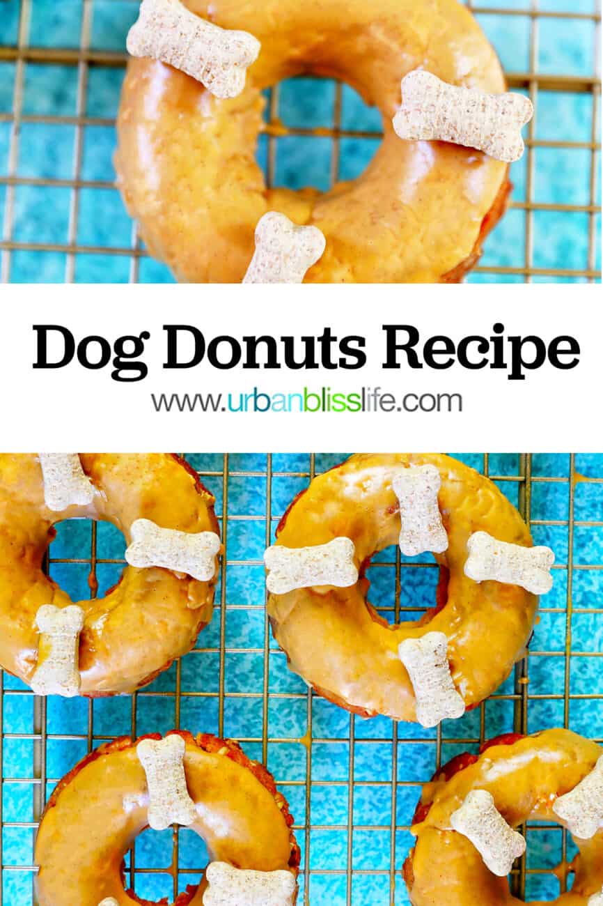 Dog donuts on a cooling rack on a bright blue table, with title text overlay.