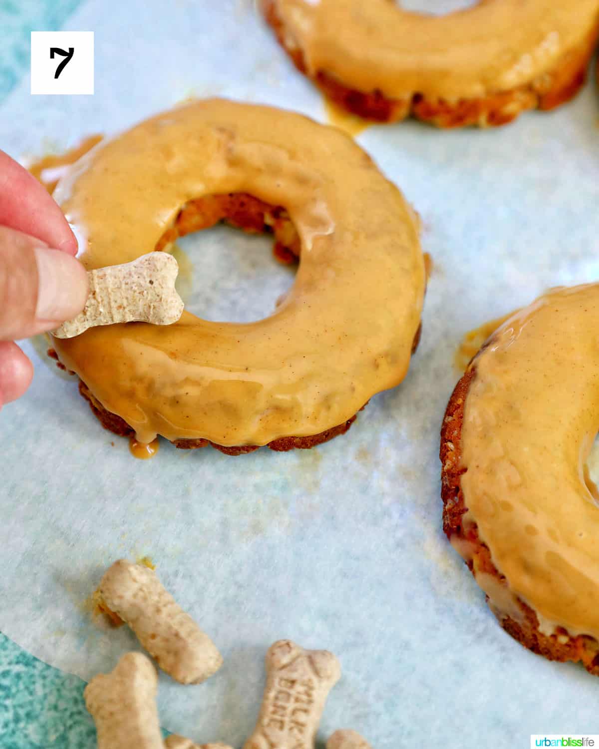 adding dog biscuits to dog donuts.