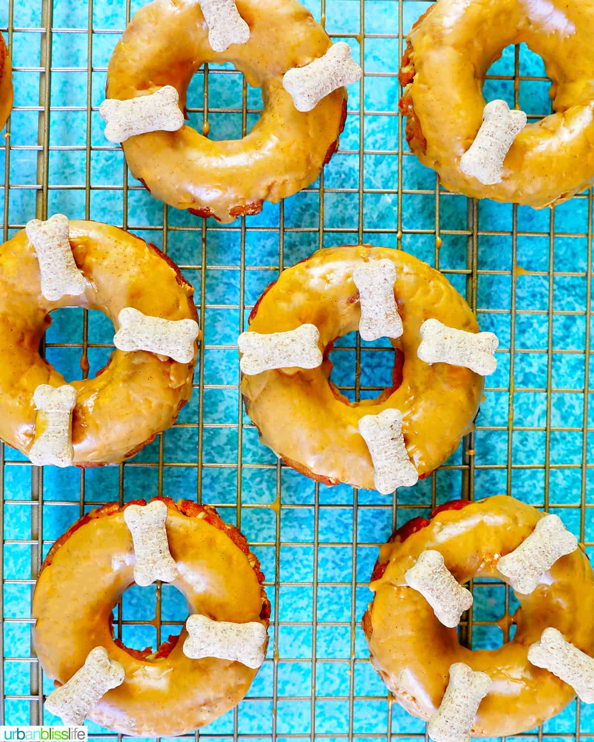 Glazed dog donuts with dog biscuits on a cooling rack on a bright blue table.