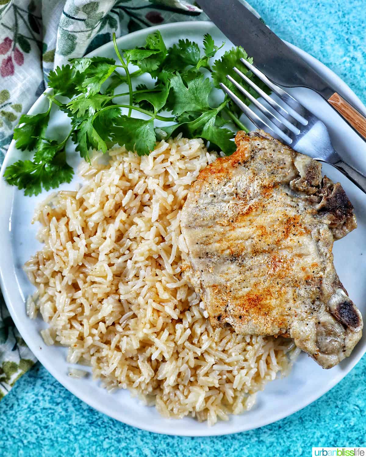 Instant Pot Pork Chops and Rice