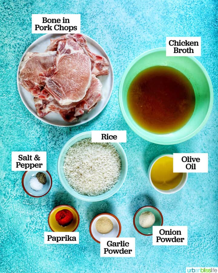 Instant Pot Pork Chops And Rice Urban Bliss Life instant-pot-pork-chops-and-rice-urban-bliss-life
