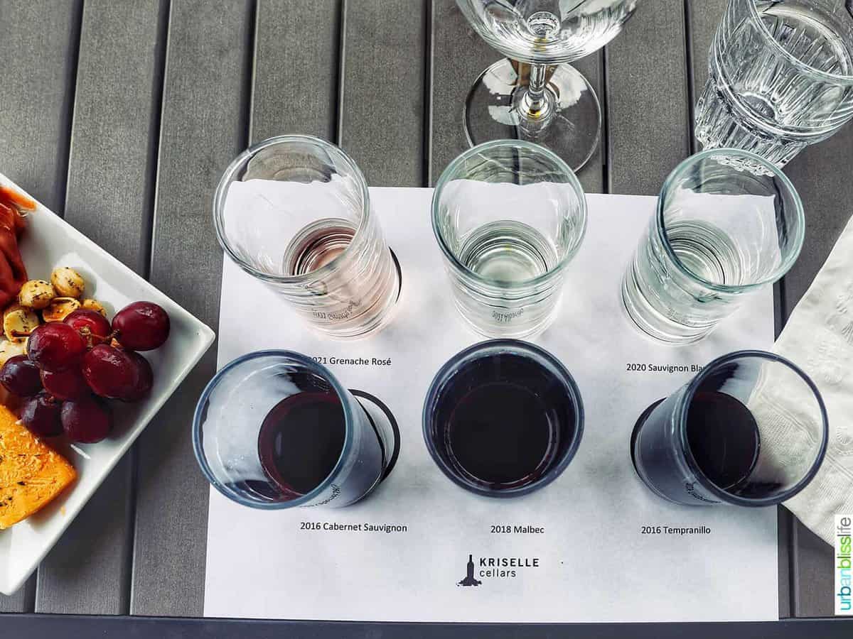 wine tasting glasses on a taster sheet, with snacks to the side and water glasses.