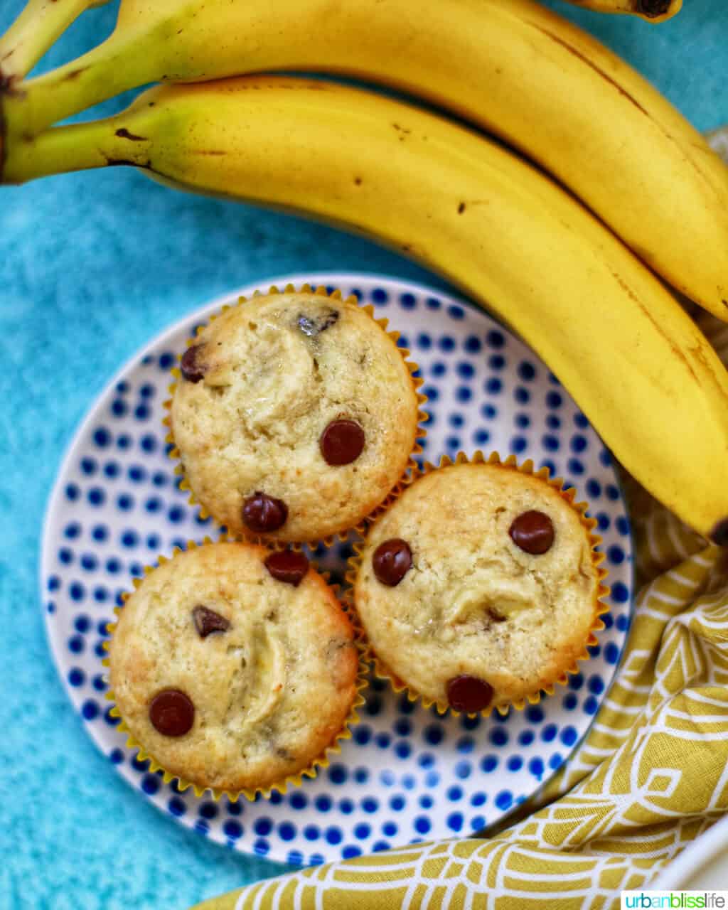 3 banana chocolate chip muffins on a polka dot plate with two bananas at top.
