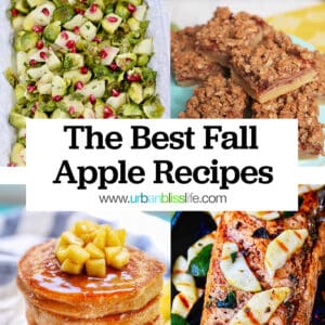Brussels sprouts and apples, apple pie bars, apple pancakes, apple slices and pork chops with title text that reads "Best Fall Apple Recipes."