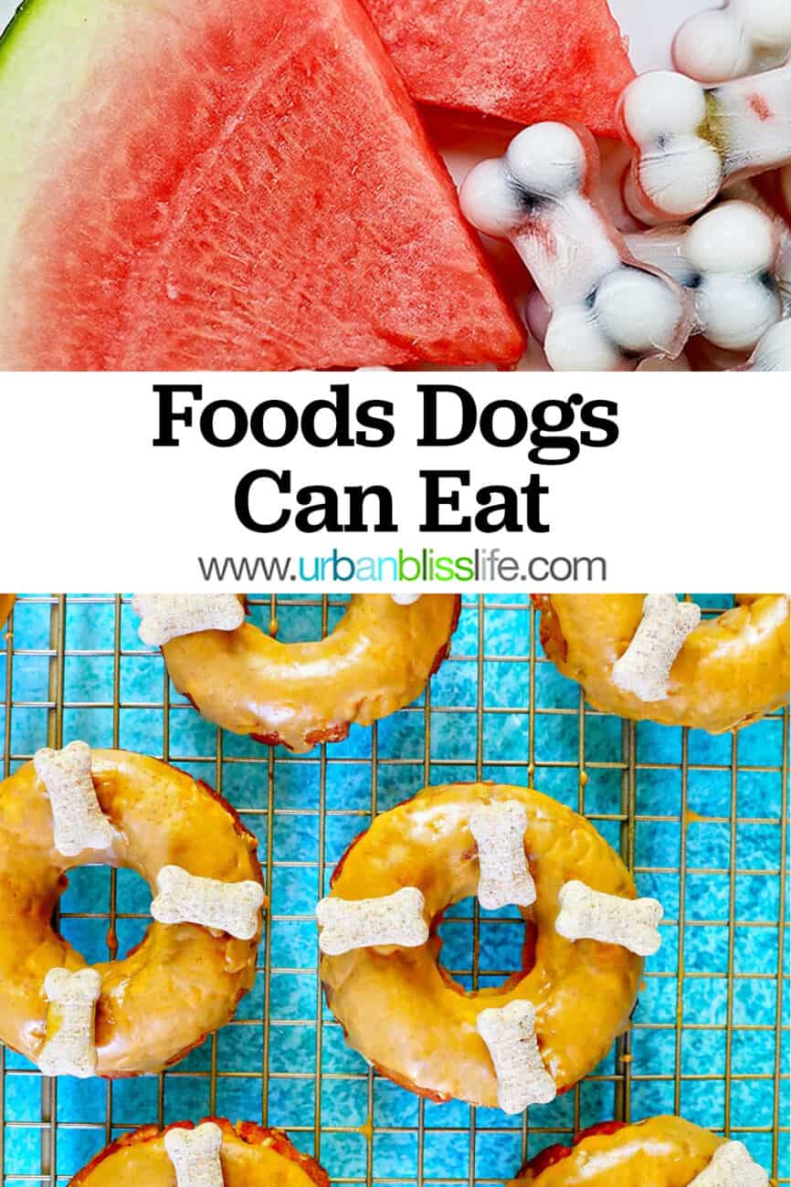 foods dogs can eat watermelon and donuts with text overlay