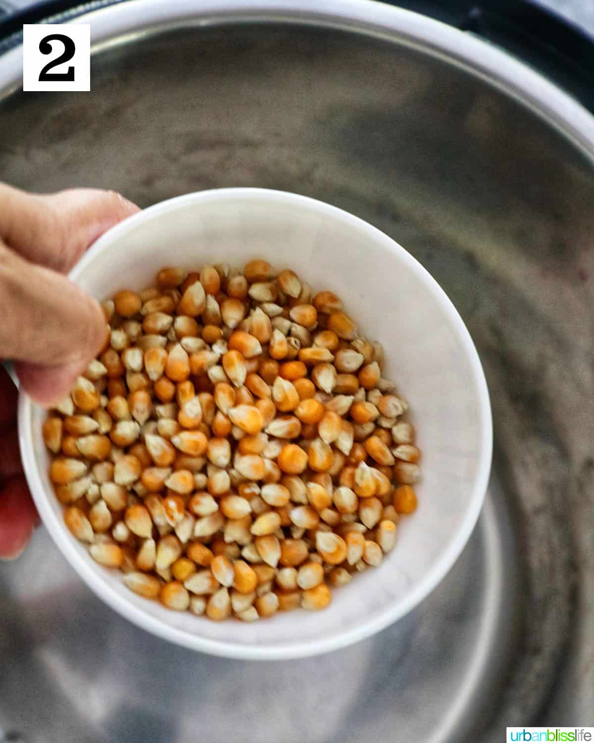 hand holding unpopped corn kernels over an Instant Pot.