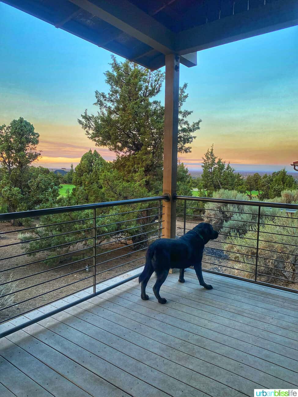 black dog on back deck of cabin at brasada ranch