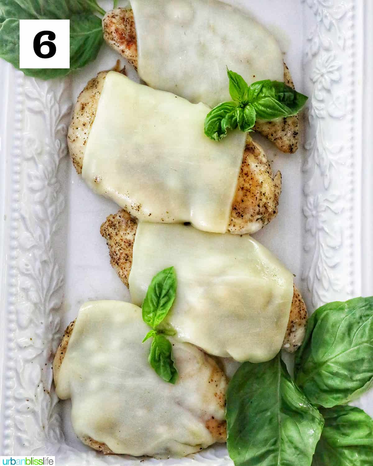four chicken breasts topped with melted cheese and basil leaves in a white serving platter.