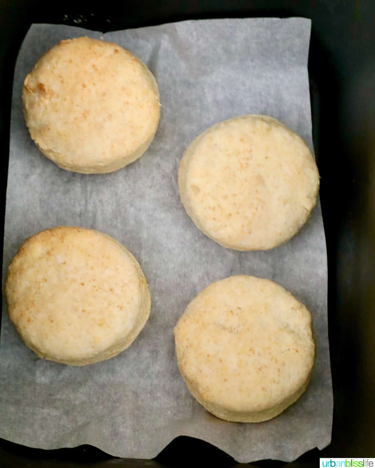 air fried biscuits just cooked in an air fryer basket.