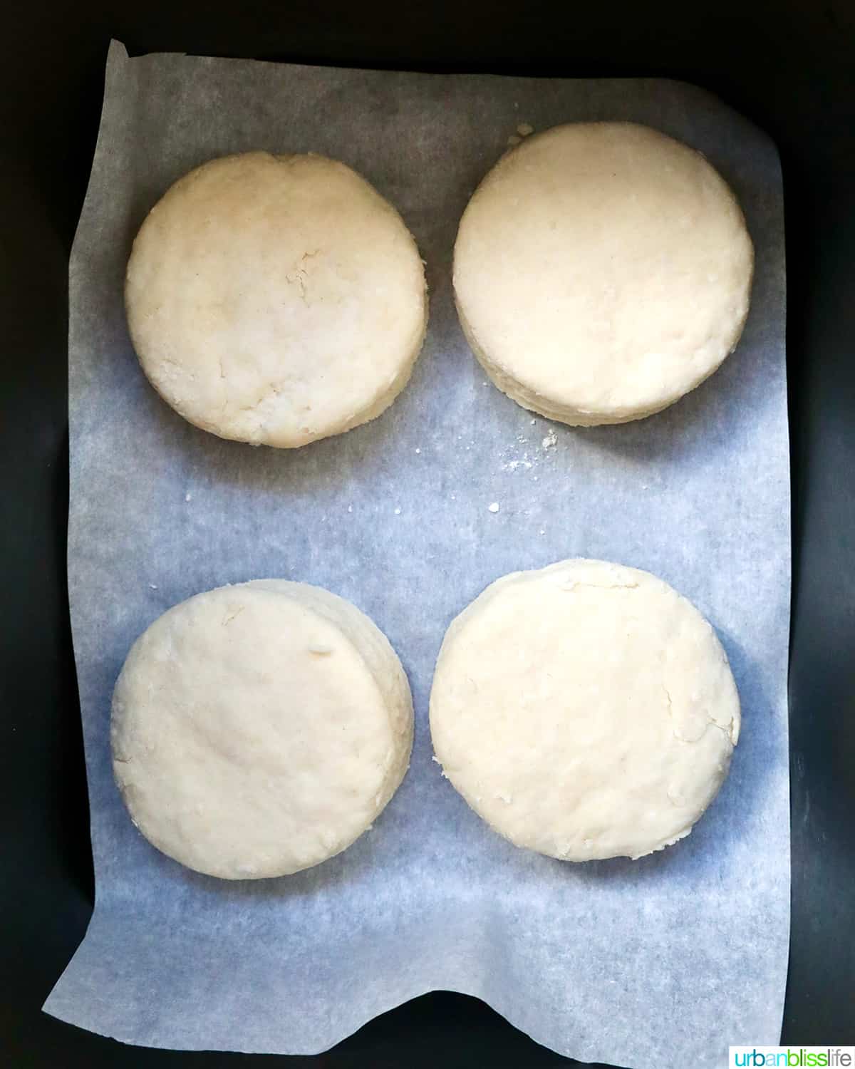 four biscuit rounds placed in an air fryer basket.