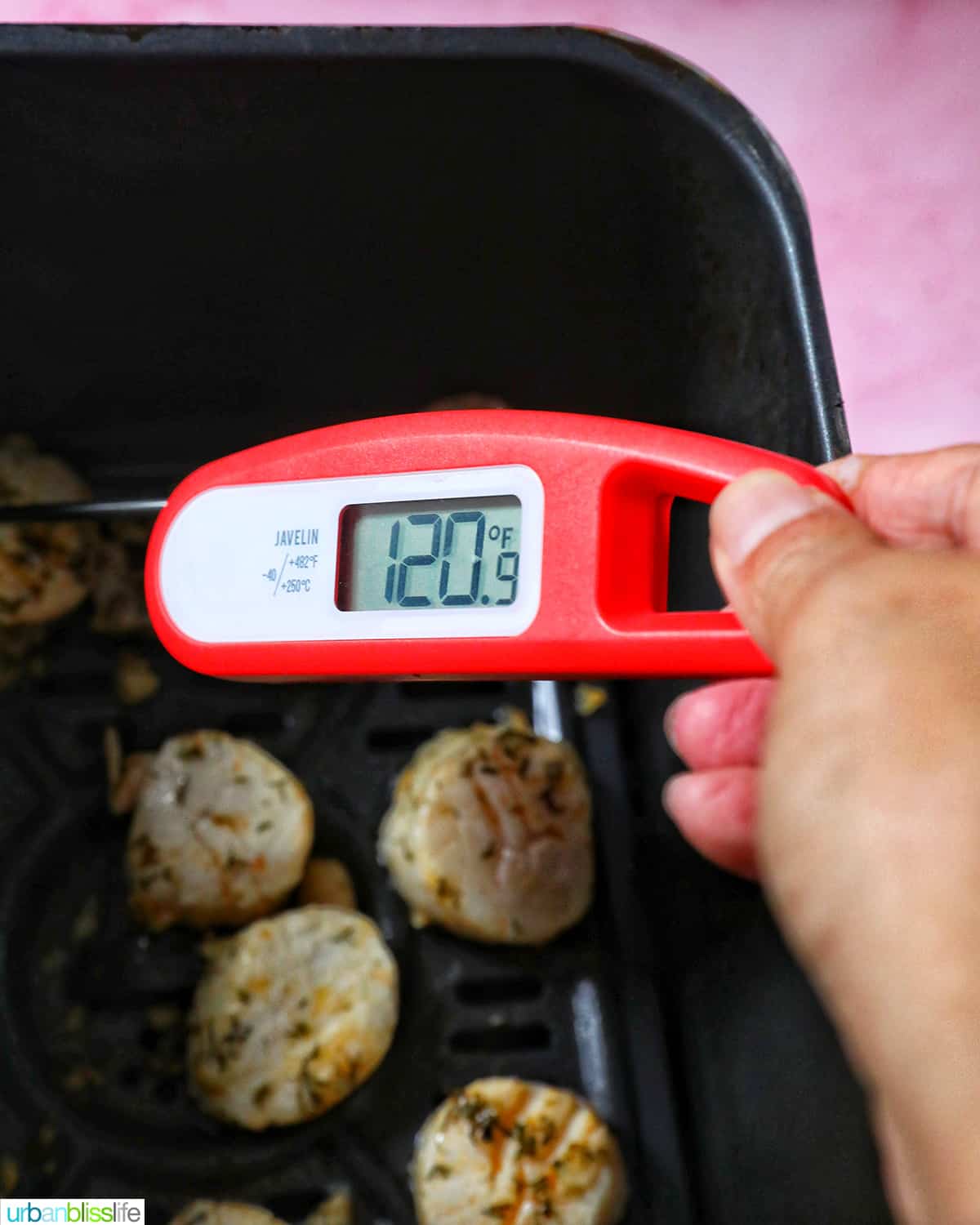 thermometer reading 120 degrees over an air fryer with cooked scallops in the basket.