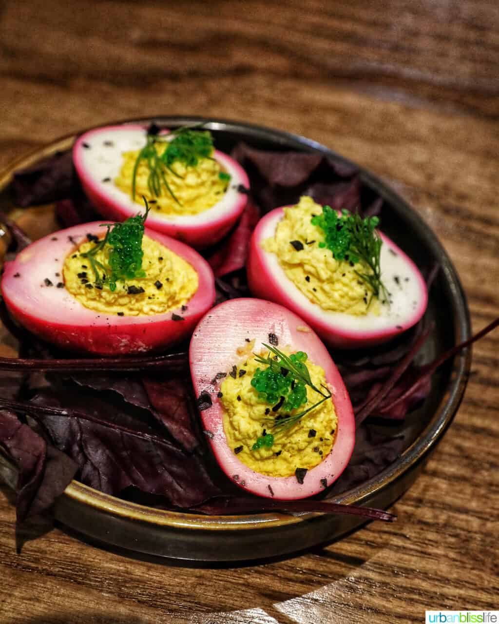 pickled deviled eggs on a dark plate.