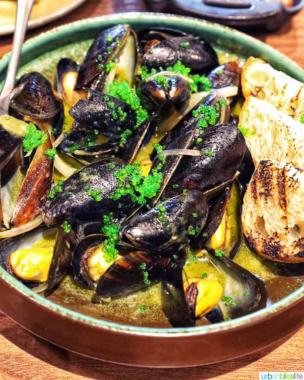 green tea mussels with bread in a bowl.