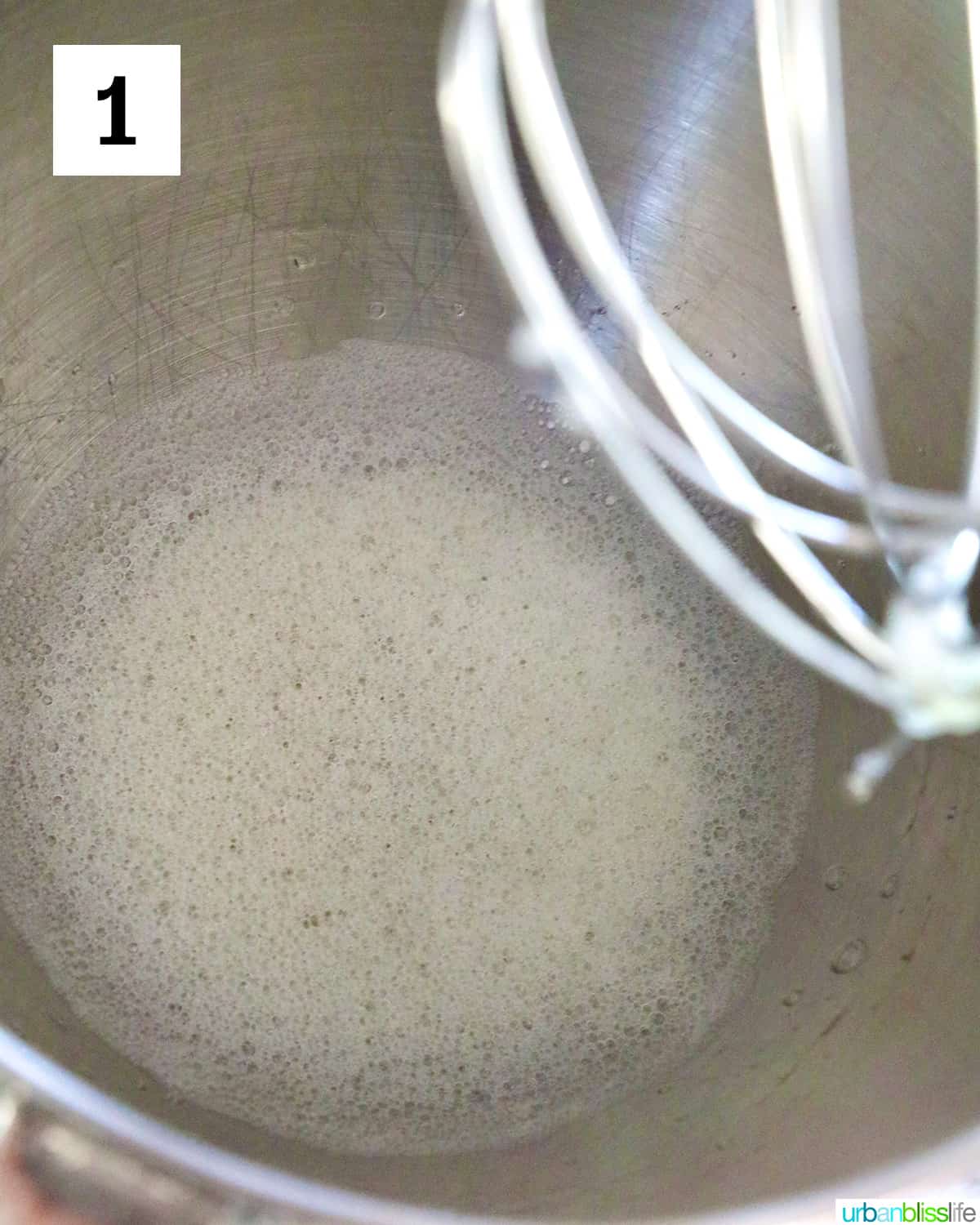 egg whites beaten to a frothy state in the stand mixer's stainless steel bowl.