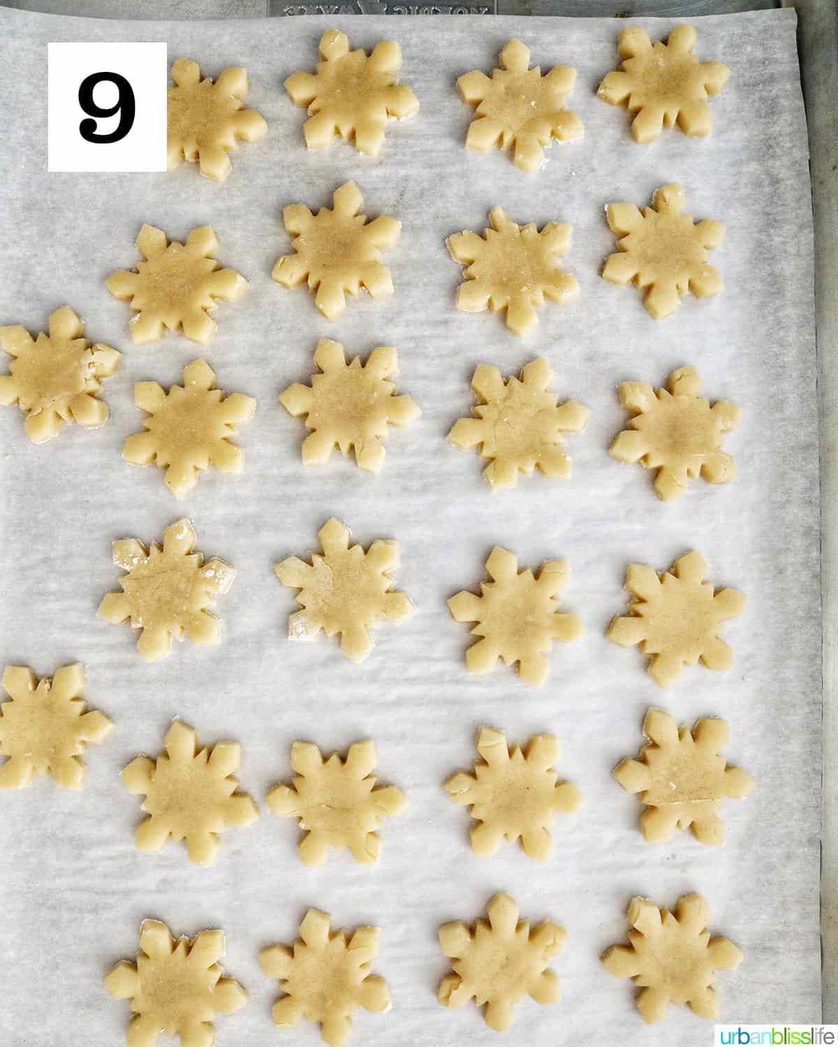 dozens of small snowflake cookies on a baking sheet ready to bake.