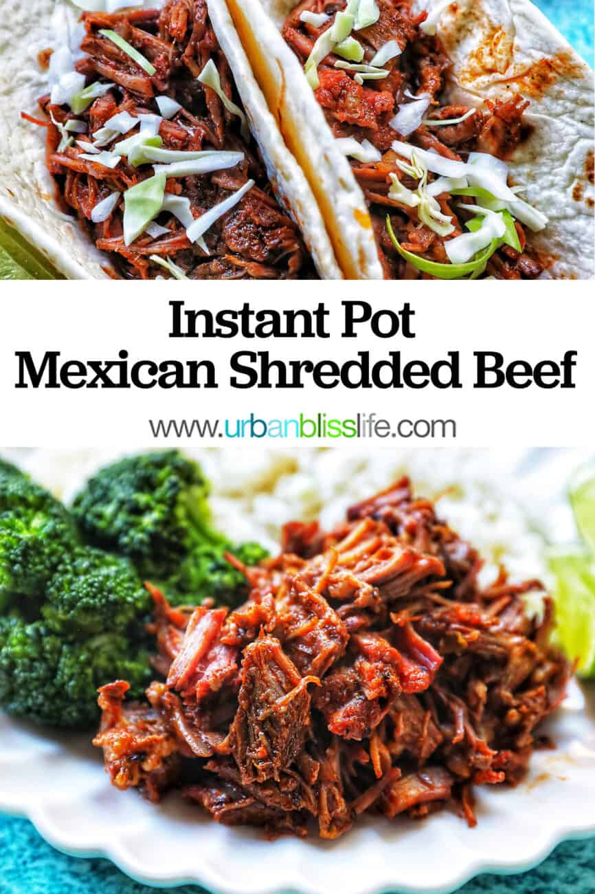 Mexican shredded beef on a plate with rice and broccoli.