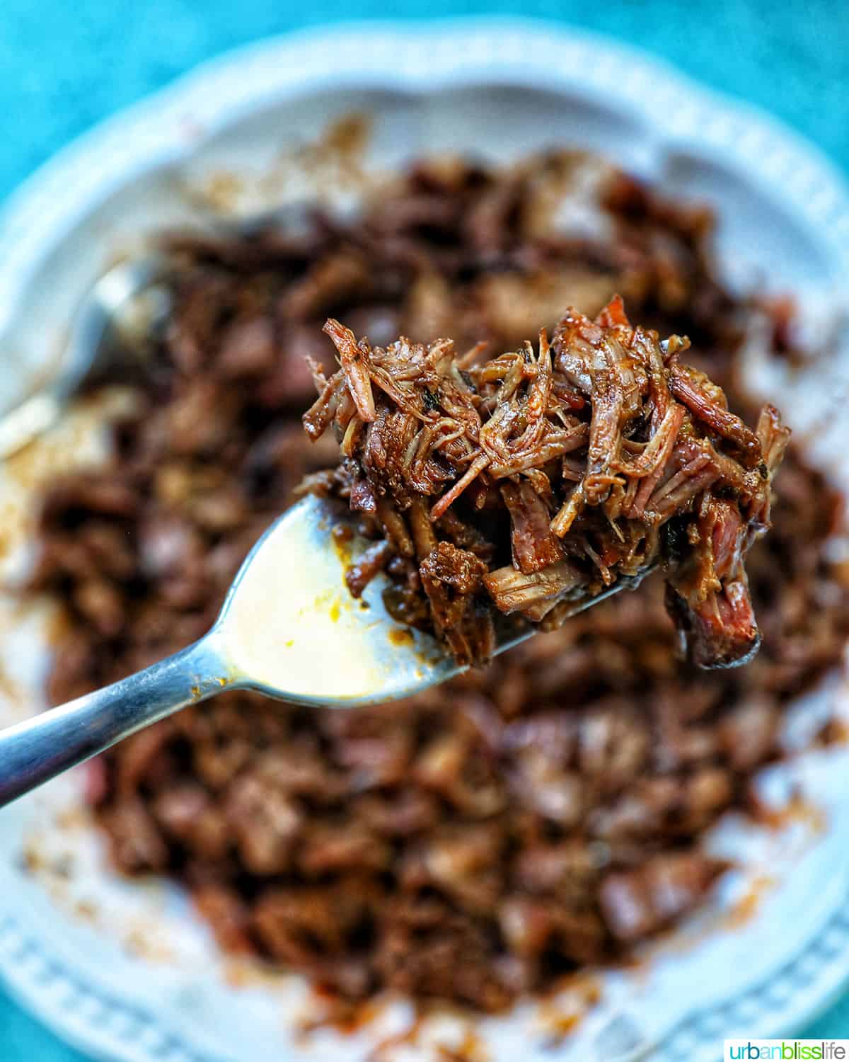 forkful of Mexican shredded beef above a bowl of shredded beef.
