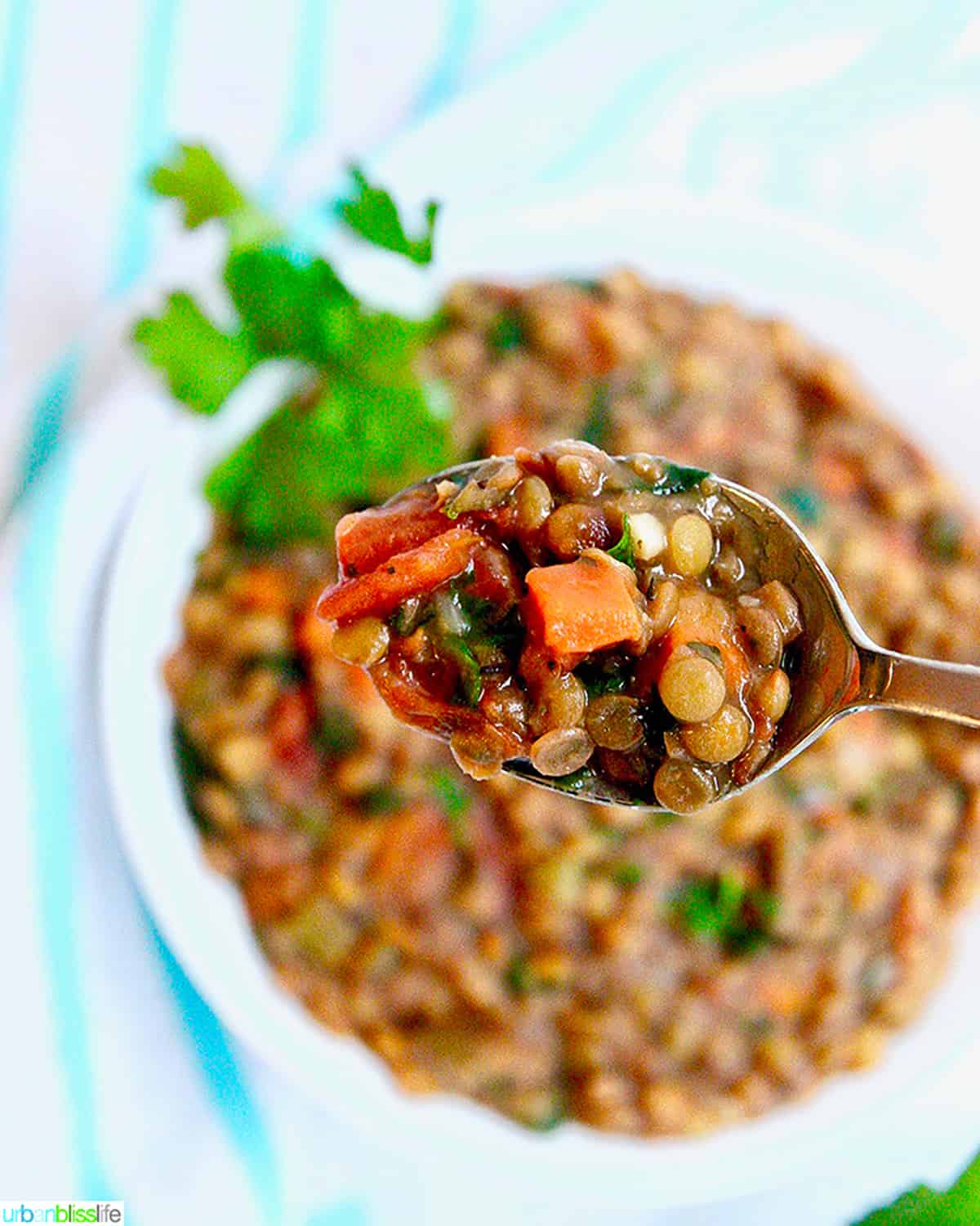 spoonful of lentil soup with bowl of soup in the background.