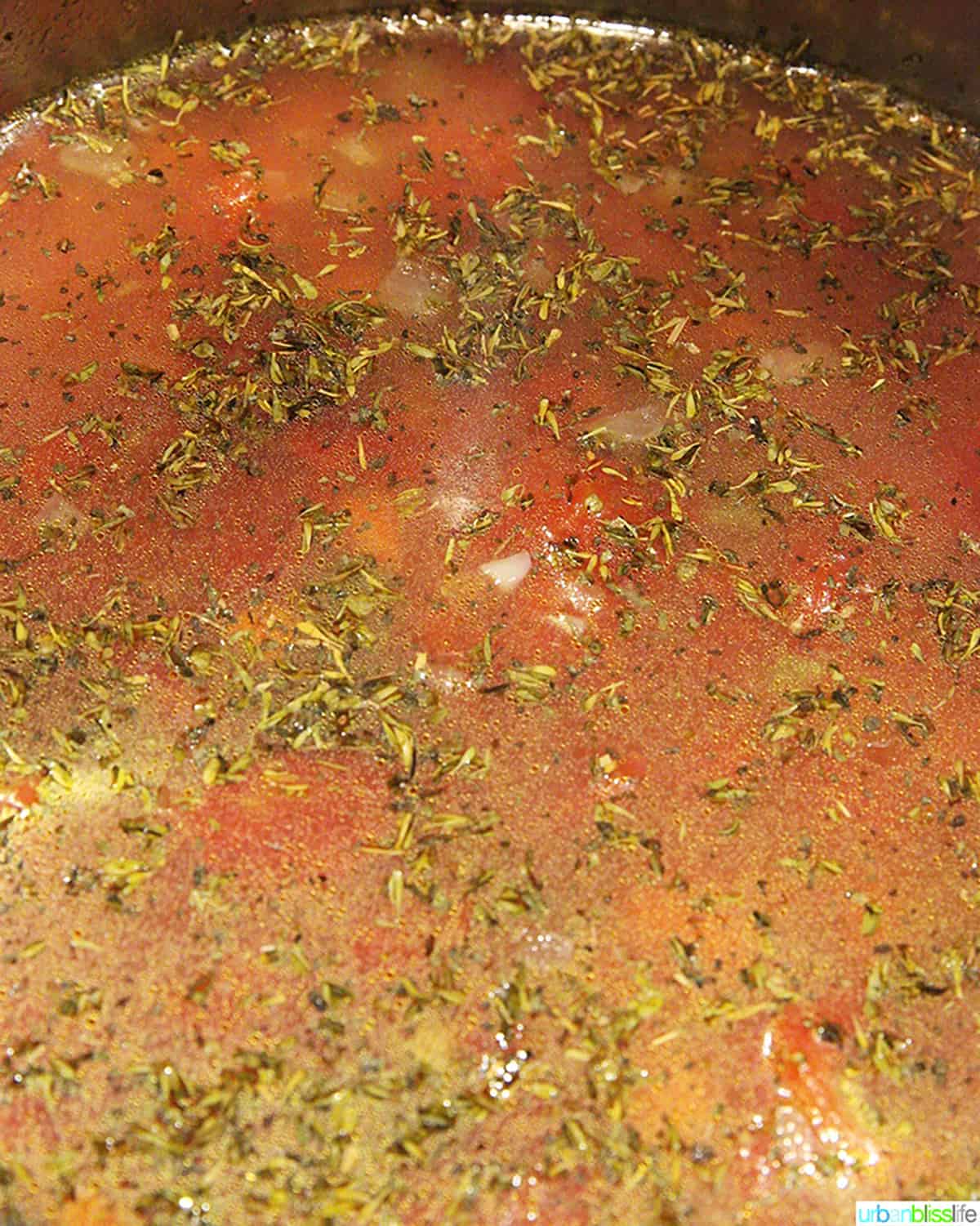 broth for lentil stew in instant pot